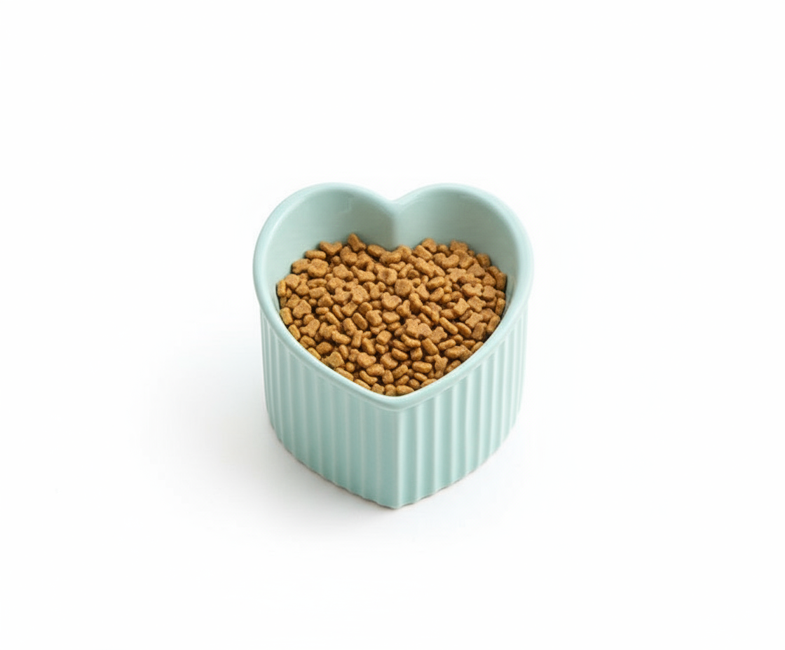 PawsieTilt Ceramic Bowl